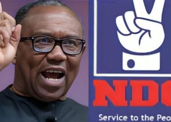 Court Voids NDC Registration Order, Obi Suffers
