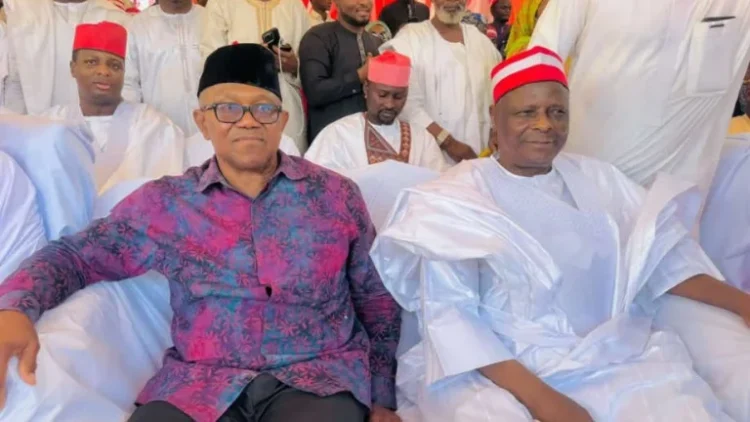 Obi, Kwankwaso Leads Fight Over NDC Deregistration