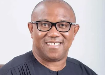 Tinubu Plotting To Stop My Presidential Bid – Peter Obi