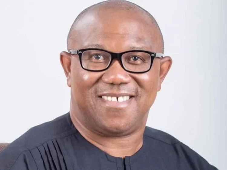 Tinubu Plotting To Stop My Presidential Bid – Peter Obi