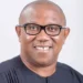 Tinubu Plotting To Stop My Presidential Bid – Peter Obi