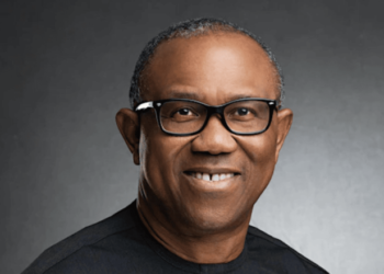 Why State Police Should Be Delayed – Peter Obi