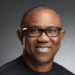 Why State Police Should Be Delayed – Peter Obi
