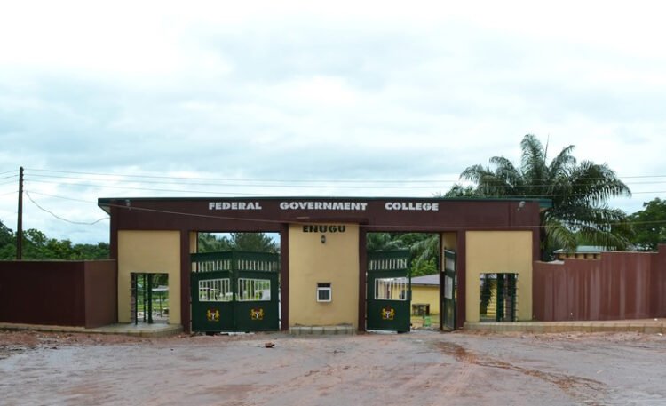Enugu Federal College Lecturers Begins Warning Strike