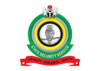 DSS Speaks On Ndibe Airport Watchlist Review